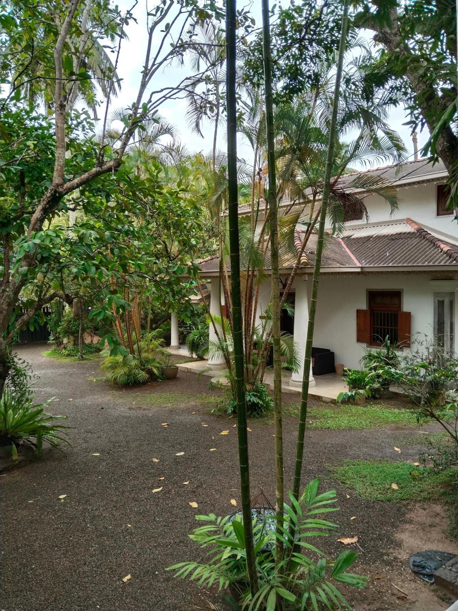 Hotel Silva Rest à Unawatuna Extérieur photo